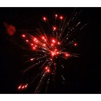 KB/ZB50-M1 12 Packungen mit je 10 St&uuml;ck - VORBESTELLUNG