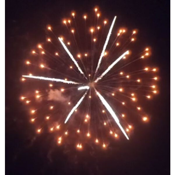 KB100-41 orange peony w/ palm core - VORBESTELLUNG