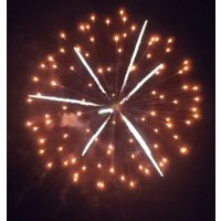 KB100-41 orange peony w/ palm core - VORBESTELLUNG