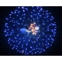 KB150-50 blue peony to crackling flowers w/crackling...