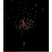 Alpha 16 Glitter spectacle