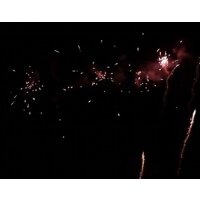 Red moving glitter fish