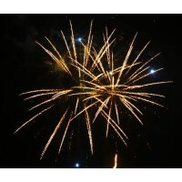 Golden Finale - VORBESTELLUNG