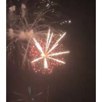 Color Finale 65mm shell cake - VORBESTELLUNG