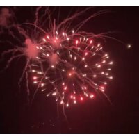 Color Finale 65mm shell cake - VORBESTELLUNG