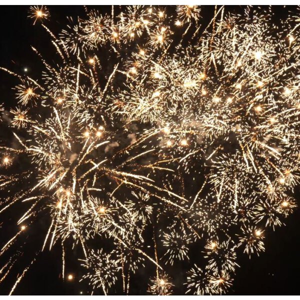 300 schuss 20mm - VORBESTELLUNG