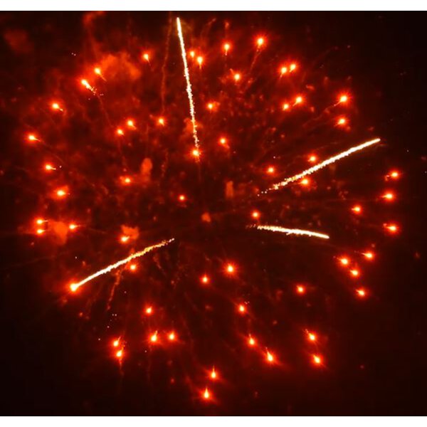 Mixed Finale 65mm shell cake - VORBESTELLUNG