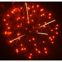 Mixed Finale 65mm shell cake - VORBESTELLUNG