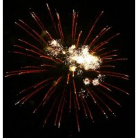 Mixed Finale 65mm shell cake - VORBESTELLUNG