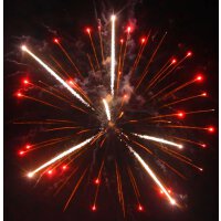 Best Finale - VORBESTELLUNG