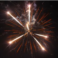 Best Finale - VORBESTELLUNG