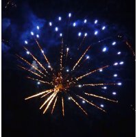 Best Finale - VORBESTELLUNG