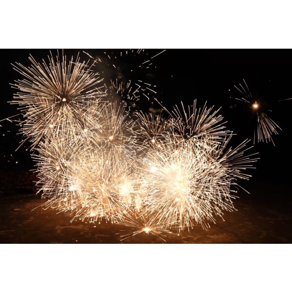 &Uuml;berraschungsfont&auml;ne - Vorbestellung