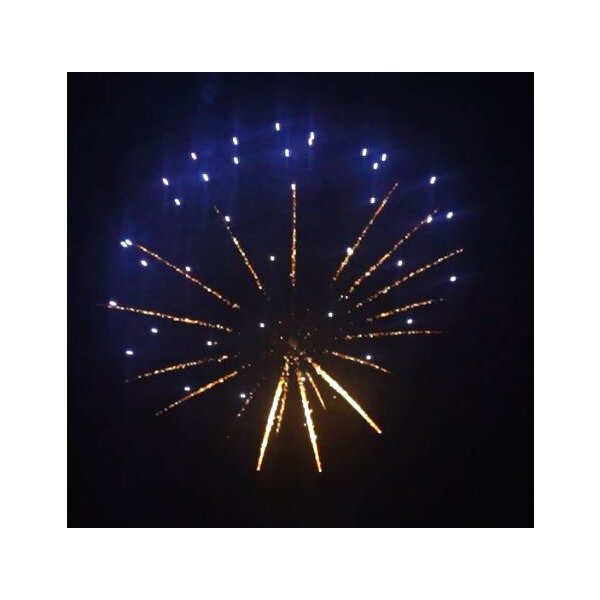 KB75-94 blue mushroom - VORBESTELLUNG