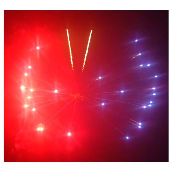 KB100-134 butterfly - VORBESTELLUNG