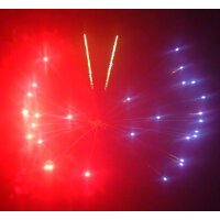 KB100-134 butterfly - VORBESTELLUNG