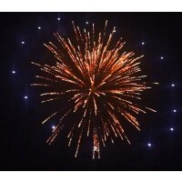 KB75-87 blue ring w/brocade wave pistil - VORBESTELLUNG