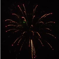 KB75-90 brocade crown to purple w/green dahlia pistil - VORBESTELLUNG