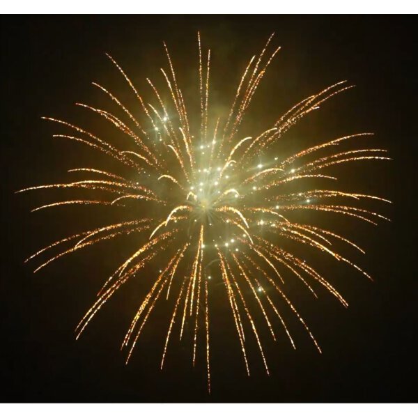 KB100-132 brocade crown to white strobe w/white strobe pistil w/ brocade tail - VORBESTELLUNG