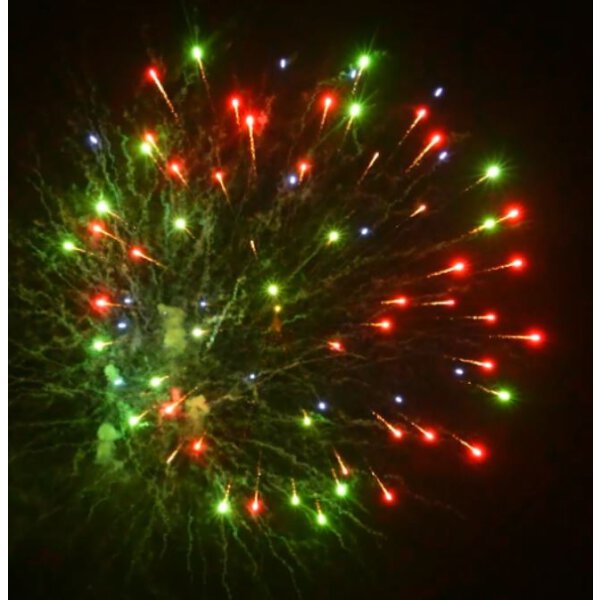 KB65-35 variegated peony to chrys. Flower - VORBESTELLUNG