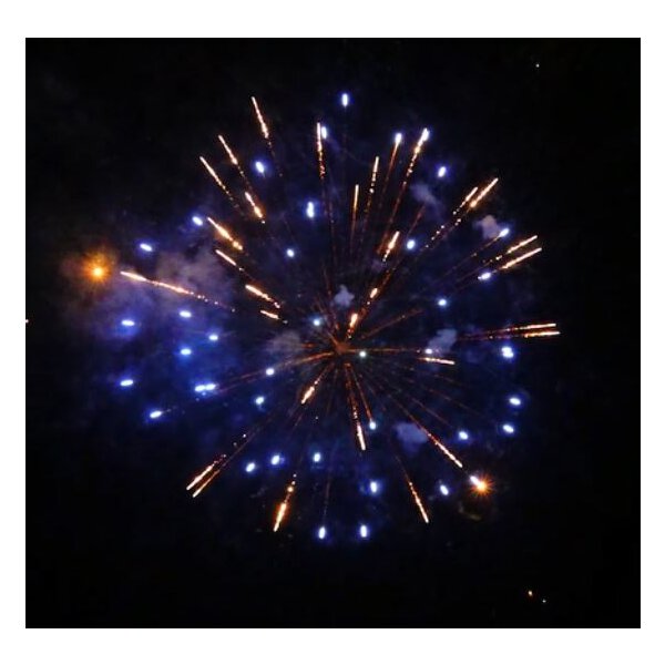 KB65-37 blue peony & gold strobe - VORBESTELLUNG