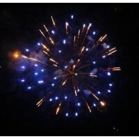 KB65-37 blue peony & gold strobe - VORBESTELLUNG