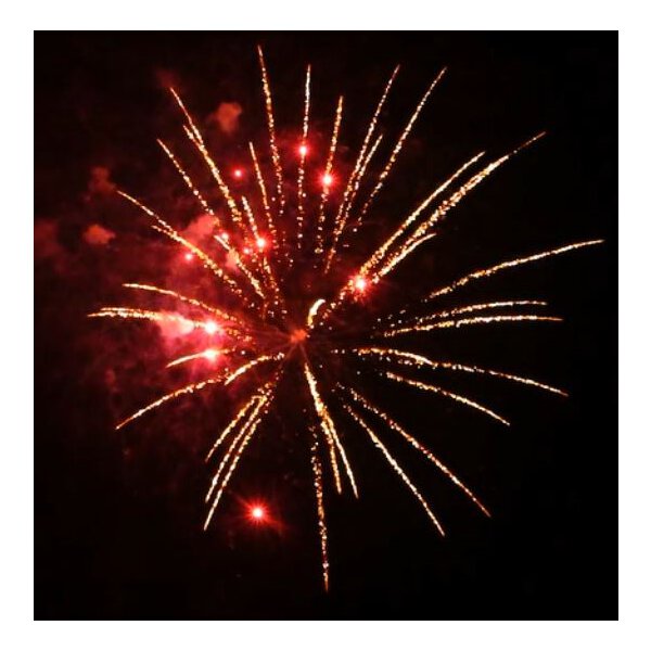 KB65-38 brocade crown w/red strobe pistil - VORBESTELLUNG