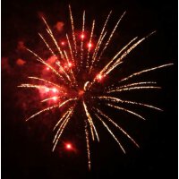 KB65-38 brocade crown w/red strobe pistil - VORBESTELLUNG