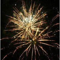 KB65-43 brocade crown w/white strobe pistil - VORBESTELLUNG