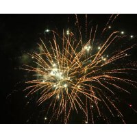 KB75-92 brocade crown to white strobe w/white strobe...